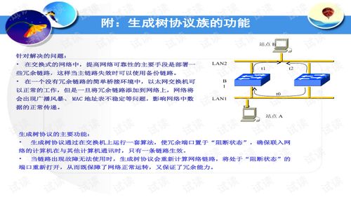 中兴交换机配置命令大全,中兴交换机常用命令