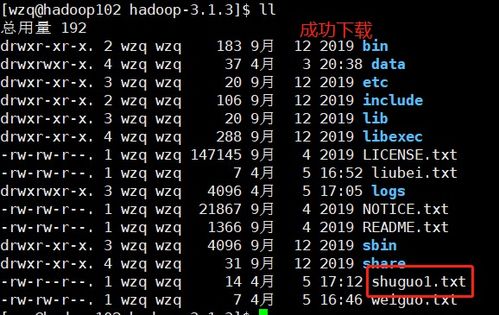 hadoop常用的linux命令,hadoop常用shell命令