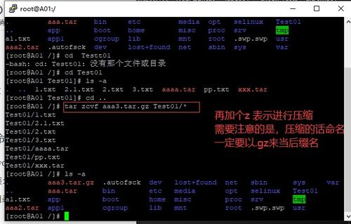 linux常用命令rmdir,linux常用命令 ll