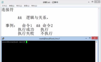 linux的连接命令,linux常用命令连接符