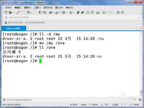 linuxmv命令不仅可以移动文件和目录还可以,linux用mv文件移动指定文件