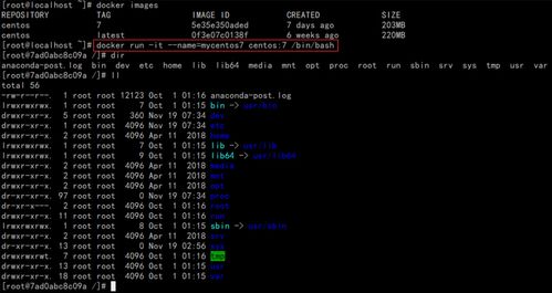 docker的命令使用,docker命令菜鸟教程