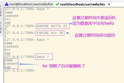 redis常用命令及详解,redis常用命令整理简书